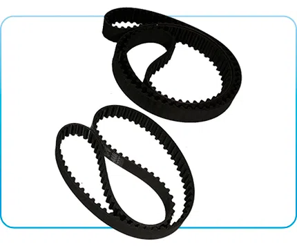Correia Dentada para HR Correia Dentada para HR